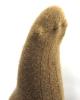 Camel wool Socks, ref. CAM-19-03-001