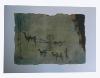 Petroglyphe, ref. PAI-08-01-030